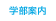 学部案内