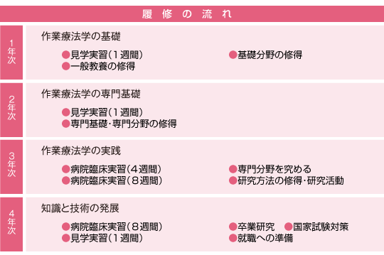 学部案内 リハビリテーション学科 作業療法学専攻 日本医療科学大学 学部案内 リハビリテーション学科 作業療法学専攻 日本医療科学大学